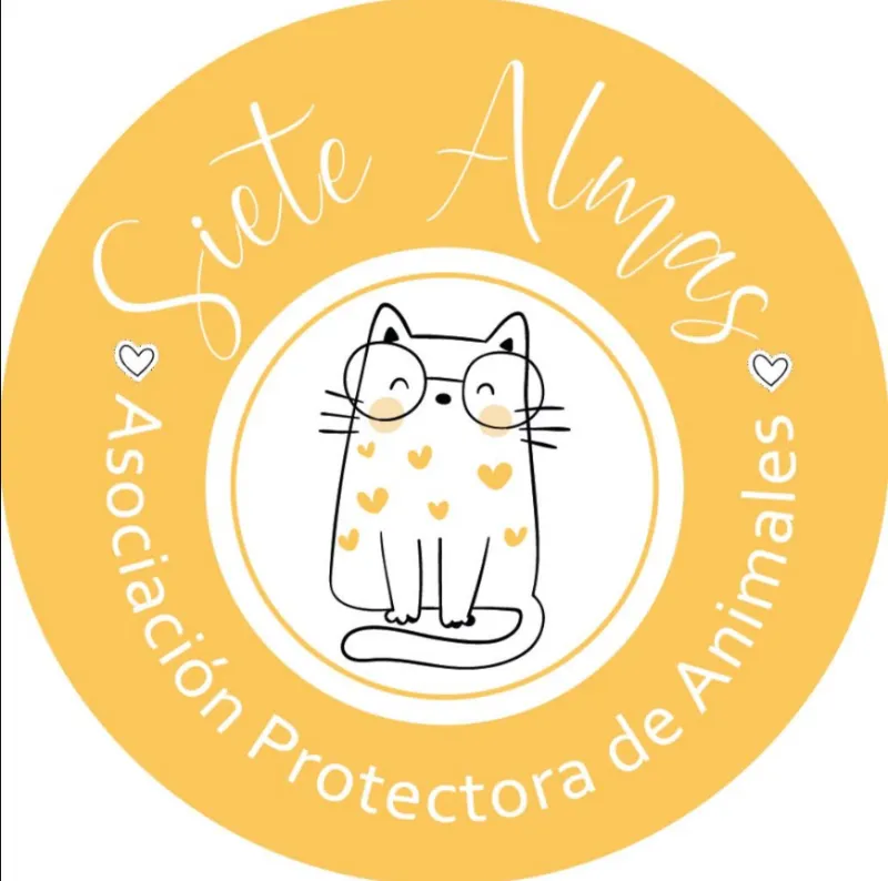 Asociación Protectora de Gatos