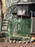Miau Box