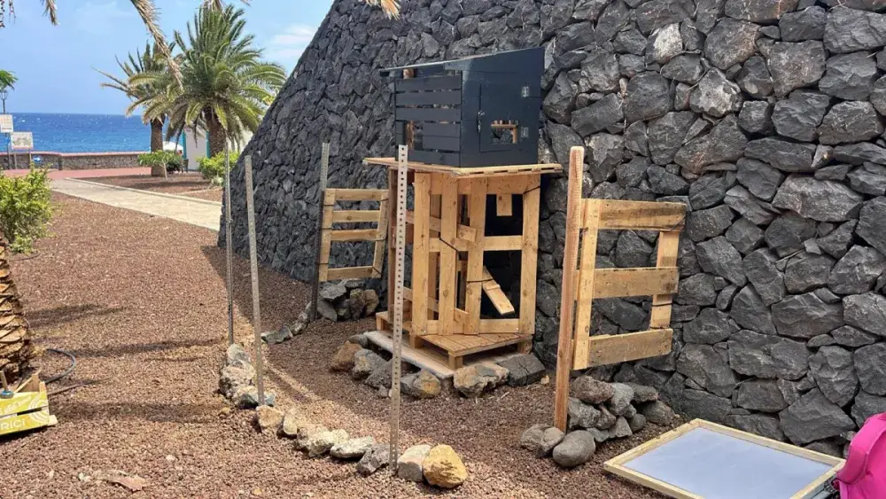 Miau Box
